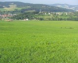 ratak