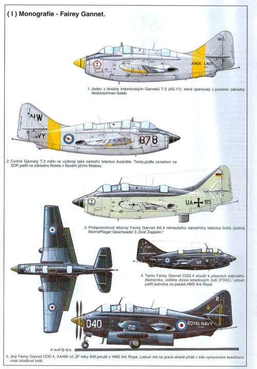 Fairey_Gannet_002_zmensenina