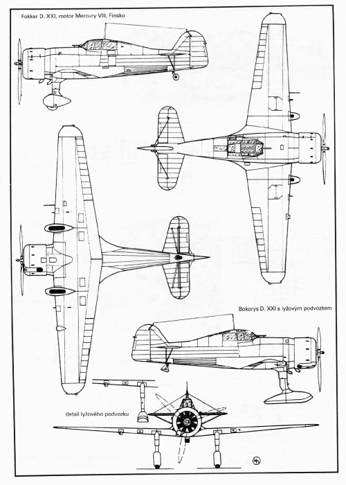 Fokker_D_XXI_002_zmensenina