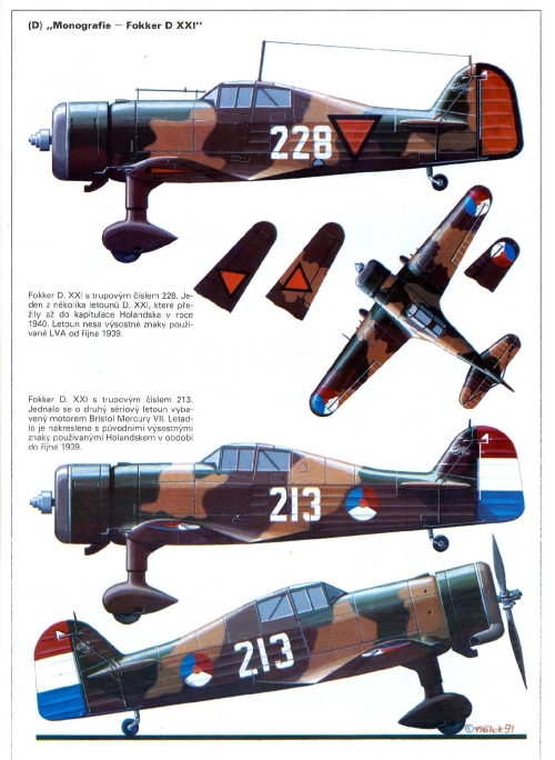 Fokker_D_XXI_002_zmensenina