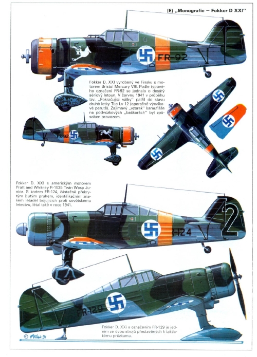 Fokker_D_XXI_002_zmensenina