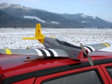 mustang_50_04